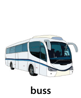 buss.jpg